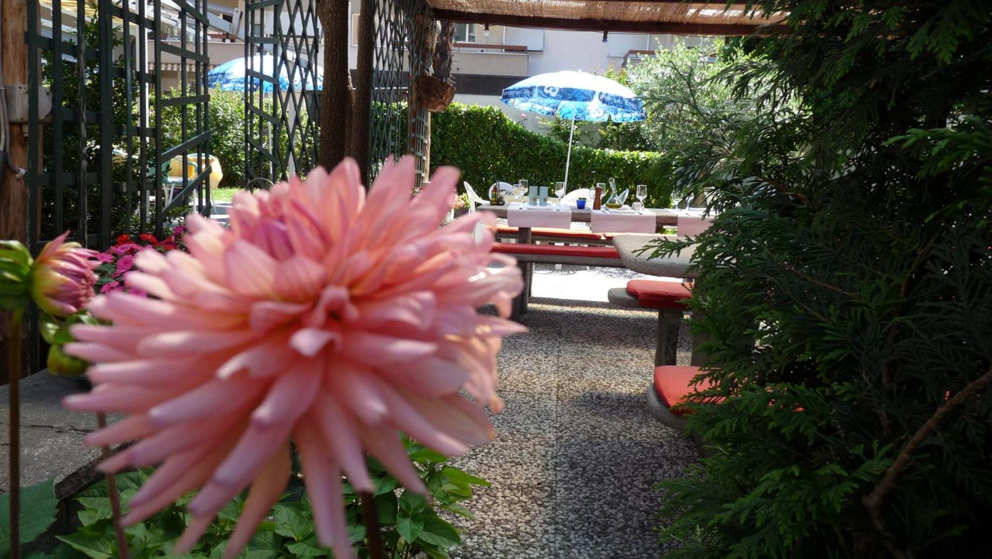 Osteria Ticino By Ketty & Tommy Hotel Ascona Eksteriør billede